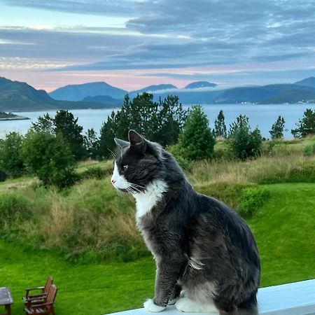 Wake Up To A Beautiful View And Smell Of The Sea Appartement Kristiansund Buitenkant foto