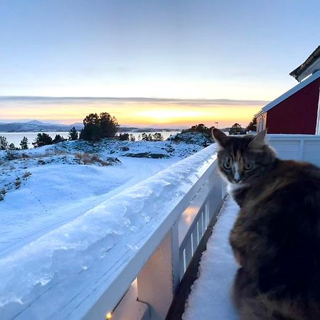 Wake Up To A Beautiful View And Smell Of The Sea Appartement Kristiansund Buitenkant foto