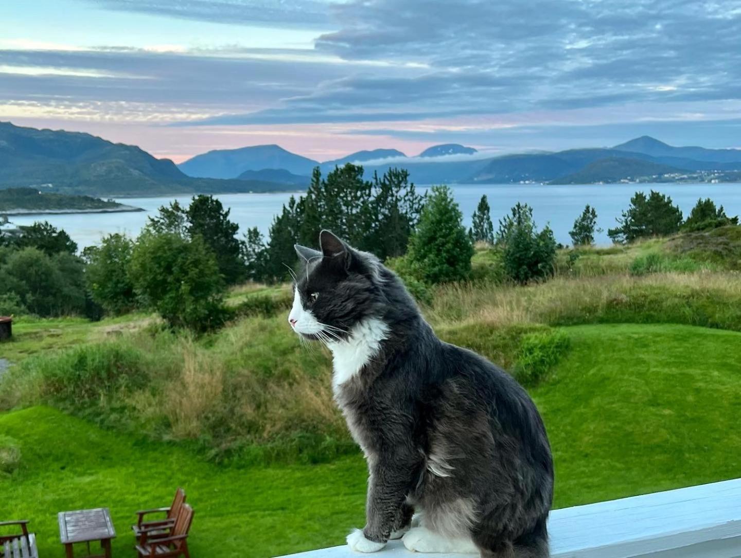 Wake Up To A Beautiful View And Smell Of The Sea Appartement Kristiansund Buitenkant foto