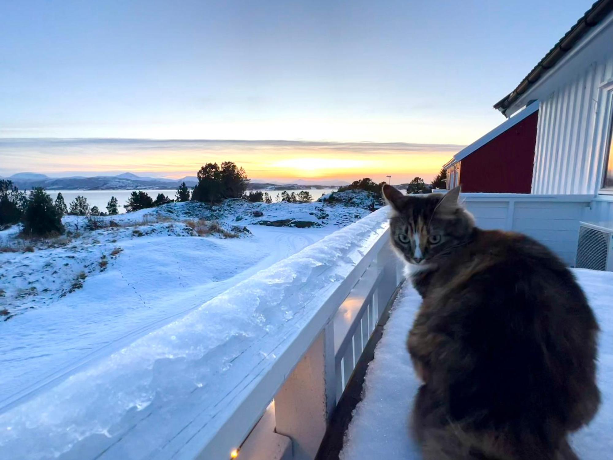 Wake Up To A Beautiful View And Smell Of The Sea Appartement Kristiansund Buitenkant foto